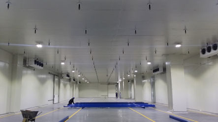 Cuartos Fríos