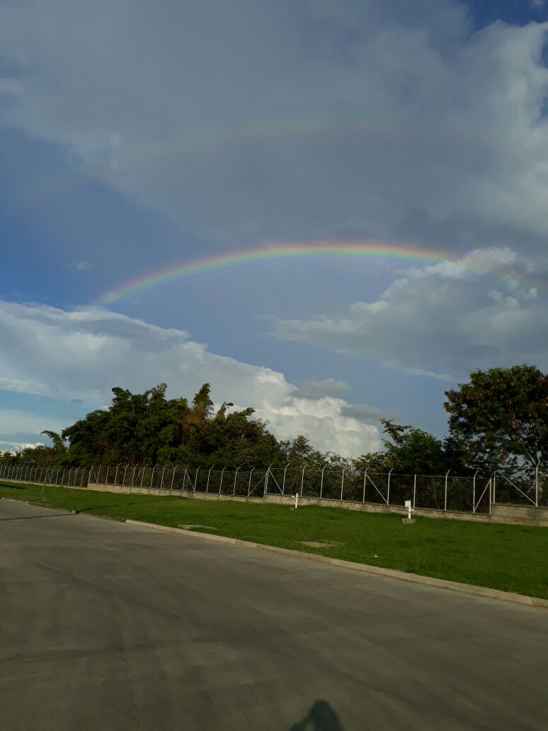 Proyecto Frigorífico Yumbo — foto 48