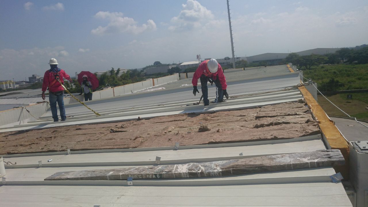 Proyecto Frigorífico Yumbo — foto 19
