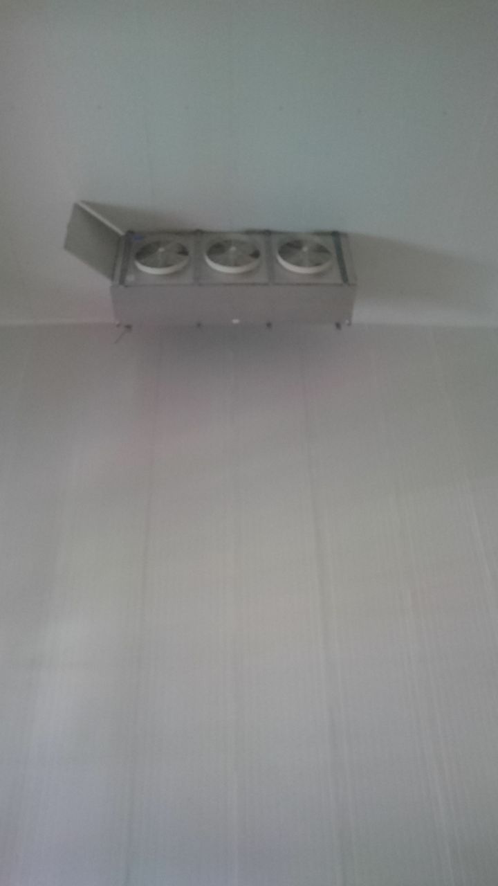 Proyecto Frigorífico Yumbo — foto 18