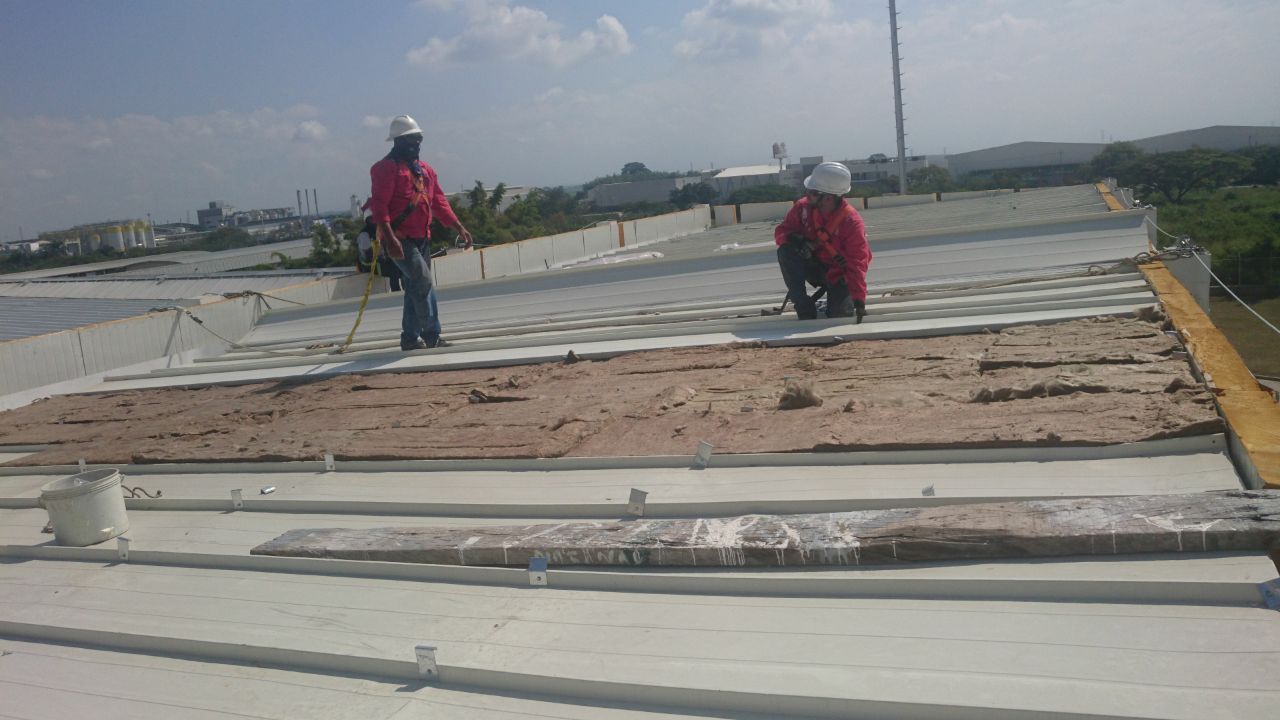 Proyecto Frigorífico Yumbo — foto 28